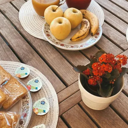 Alojamento de Acomodação e Pequeno-almoço Le Camelie