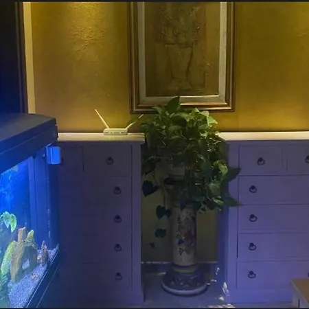 Le Camelie 3* Nettuno