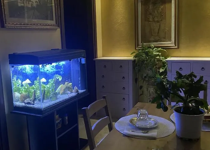 Couette-café Le Camelie