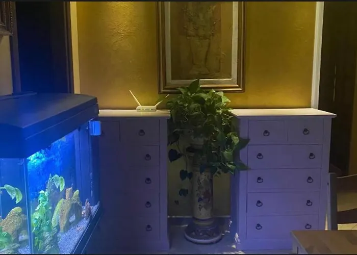 Le Camelie 3* Νετούνο