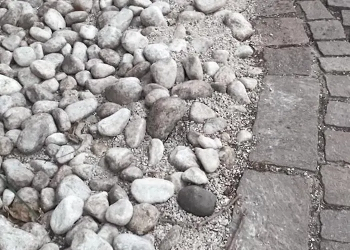 Bed and Breakfast Le Camelie 3*